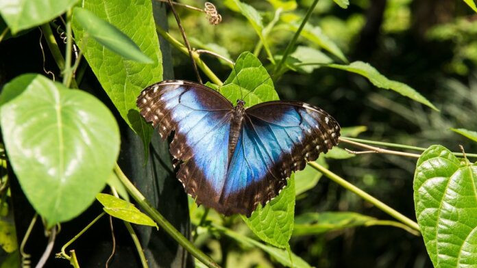 43080c5b-7f2f-49ba-8791-371aaeadf760