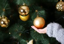 Аліна Лумарін: як різдвяні ялинки з верби переосмислюють святковий декор